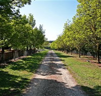 Waybourne Winery - Accommodation Yamba