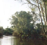 Banksia Park - Accommodation Yamba