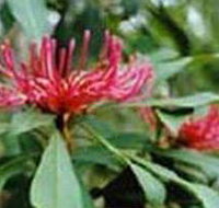 Alfred National Park - Accommodation Yamba