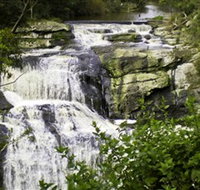 Agnes Falls Scenic Reserve - Accommodation Yamba