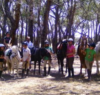 Bellarine Horse Riding Centre - Accommodation Yamba