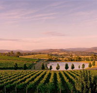 Oakridge Wines - Accommodation Yamba