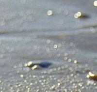 Cape Liptrap Coastal Park - Accommodation Yamba