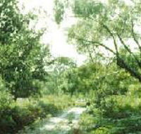 Holey Plains State Park - Accommodation Yamba