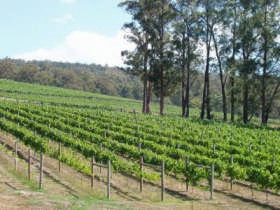 Ada VIC Accommodation Yamba