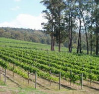 Piedmont Vineyard - Accommodation Yamba