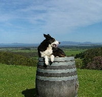 Windy Ridge Vineyard and Winery - Accommodation Yamba
