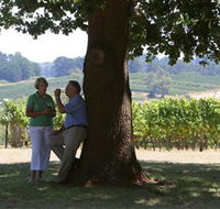 Five Oaks Vineyard - Accommodation Yamba