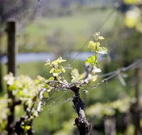 Main Ridge Estate - Accommodation Yamba