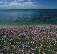 The Lakes National Park - Accommodation Yamba