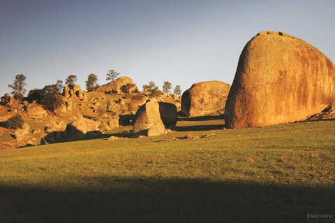 Fowles Wine - Accommodation Yamba 3