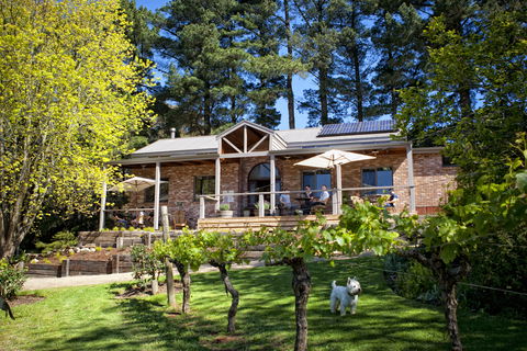 Main Ridge Estate - Accommodation Yamba 2
