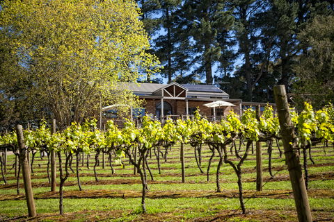 Main Ridge Estate - Accommodation Yamba 3