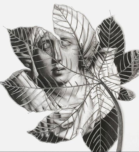 Wollongong Art Gallery - Accommodation Yamba 2