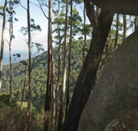 Gulaga National Park - Accommodation Yamba