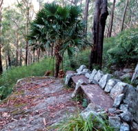 Wodi Wodi Walking Track - Accommodation Yamba
