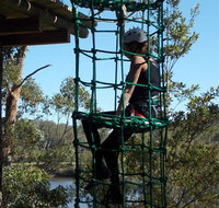 Trees Adventure Shoalhaven - Accommodation Yamba