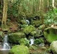 Budderoo National Park - Accommodation Yamba