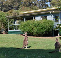 Murramarang National Park - Accommodation Yamba