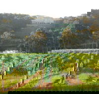 Tilba Valley Wines - Accommodation Yamba