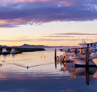 Bermagui Fishermens Wharf - Accommodation Yamba