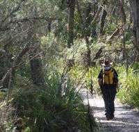Barren Grounds Nature Reserve - Accommodation Yamba