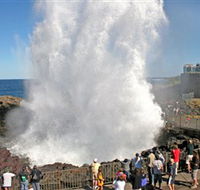 Kiama Blowhole - Accommodation Yamba