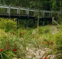 Eurobodalla Botanic Gardens - Accommodation Yamba