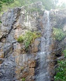 Wedding Bells Forest Drive - Accommodation Yamba 0