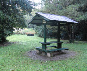 Pine Creek State Forest - Accommodation Yamba 0