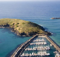 Muttonbird Island Nature Reserve - Accommodation Yamba