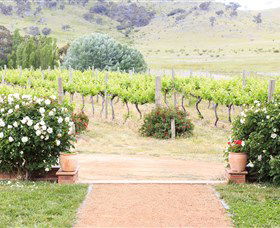 Brindabella Hills Winery - Accommodation Yamba 0
