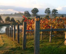 Roses Vineyard At Innes View - Accommodation Yamba 2