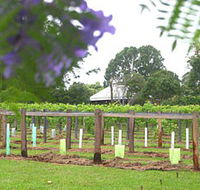 Douglas Vale Historic Homestead  Vineyard - Accommodation Yamba
