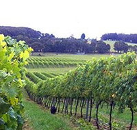 Banjo's Run Winery and Vineyard - Accommodation Yamba