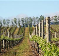 Philip Shaw Wines - Accommodation Yamba