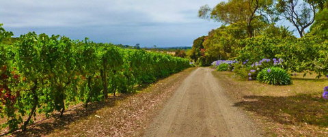 Merricks Estate - Accommodation Yamba 1