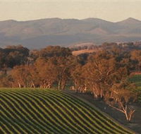Angullong Wines - Accommodation Yamba