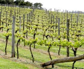 Spring Terrace NSW Accommodation Yamba