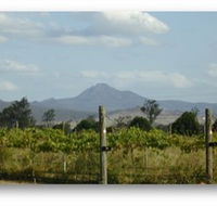 Ironbark Ridge Vineyard - Accommodation Yamba