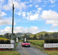 Sarabah Estate Vineyard - Accommodation Yamba