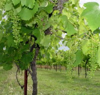 Holland Wines - Accommodation Yamba