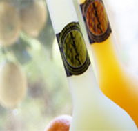 Ambra Limoncello - Accommodation Yamba