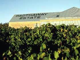 Padthaway Estate Winery - Accommodation Yamba 0
