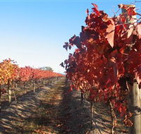 Kooyonga Creek Wines - Accommodation Yamba