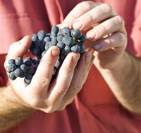 Brown Magpie Wines - Accommodation Yamba