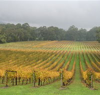Boat O'Craigo Wines - Accommodation Yamba