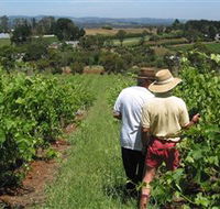 Sir Paz Estate - Accommodation Yamba