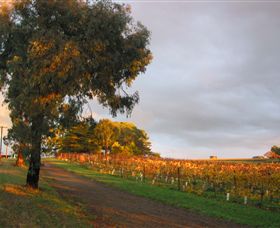 Sir Paz Estate - Accommodation Yamba 3