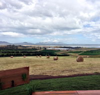 The Hazards Vineyard - Devil's Corner - Accommodation Yamba